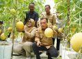 Gubernur Al Haris Panen Perdana Melon Premium di Tanjab Timur.(foto: dok.ist)